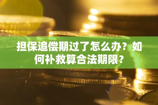 济南担保追偿期过了怎么办？如何补救算合法期限？