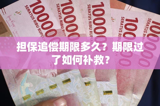 济南担保追偿期限多久？期限过了如何补救？