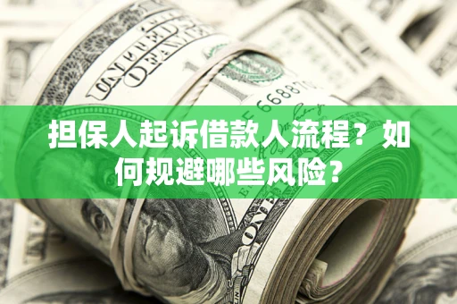 济南担保人起诉借款人流程？如何规避哪些风险？